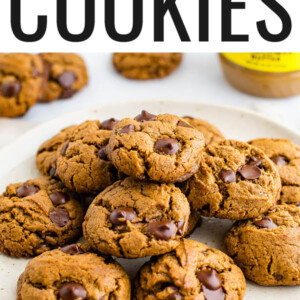 Plate of chocolate chip sunbutter cookies.