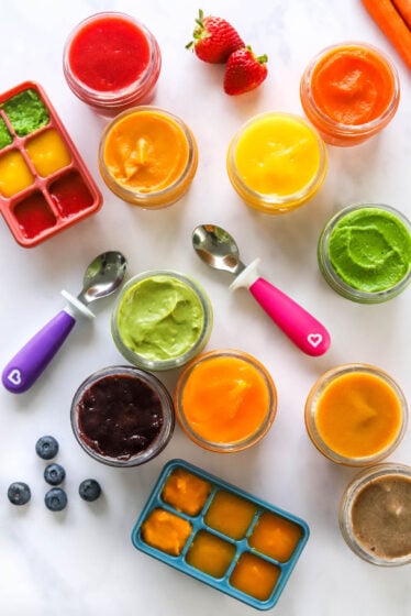 10 Baby Food Purees (Stage 1)