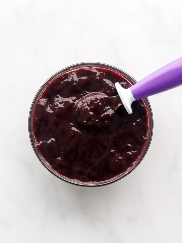 Blueberry Puree for Babies Eating Bird Food