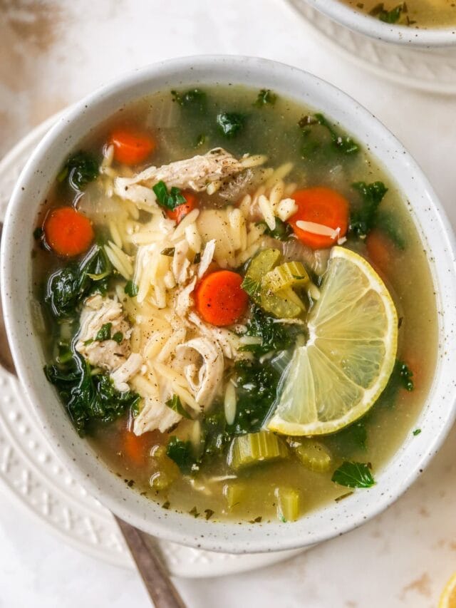 Lemon Chicken Orzo Soup Eating Bird Food