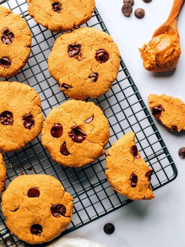 Peanut Butter Protein Cookies Eating Bird Food