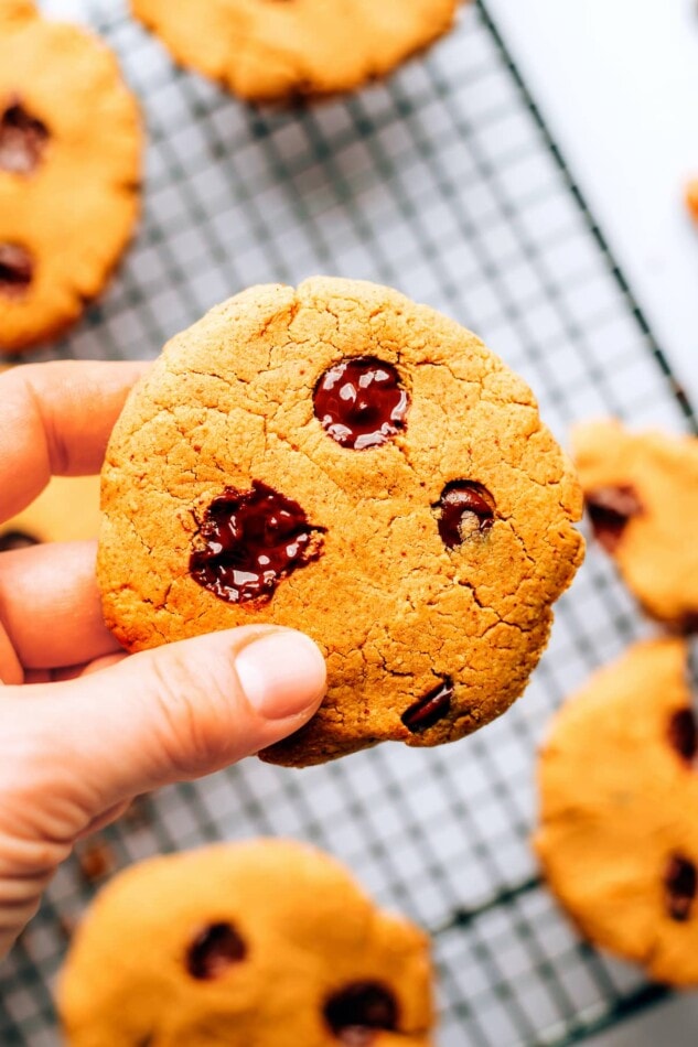A hand holding up a protein cookie.
