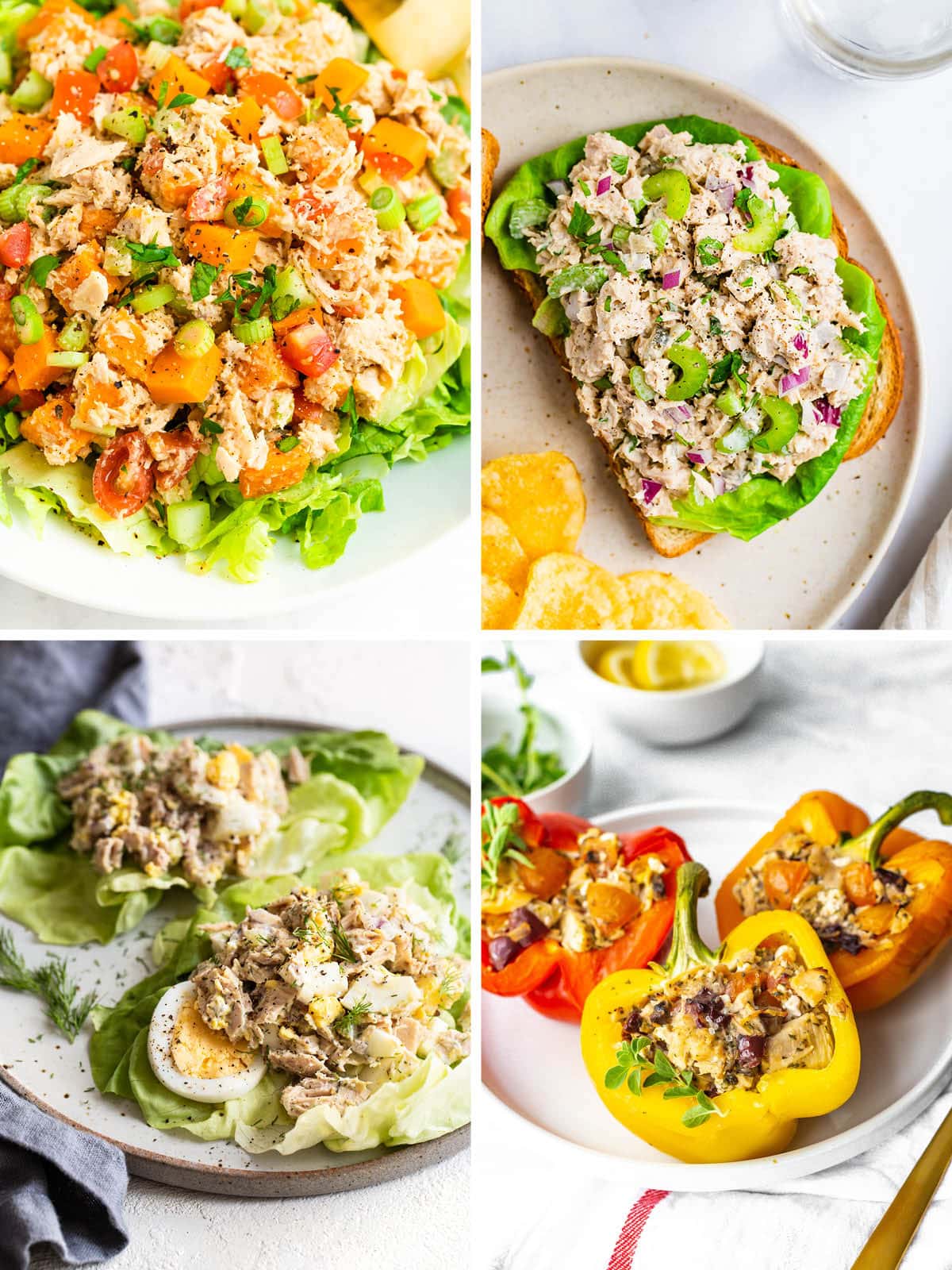 Canned Tuna Recipe Deporecipe co