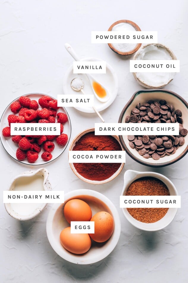 Ingredients measured out to make a flourless chocolate cake: powdered sugar, coconut oil, vanilla, sea salt, dark chocolate chips, raspberries, cocoa powder, coconut sugar, non-dairy milk and eggs.