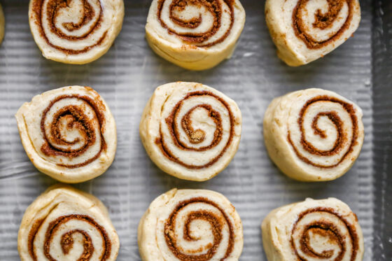 Close up of 12 cinnamon rolls placed on a baking pan lined in parchment paper.