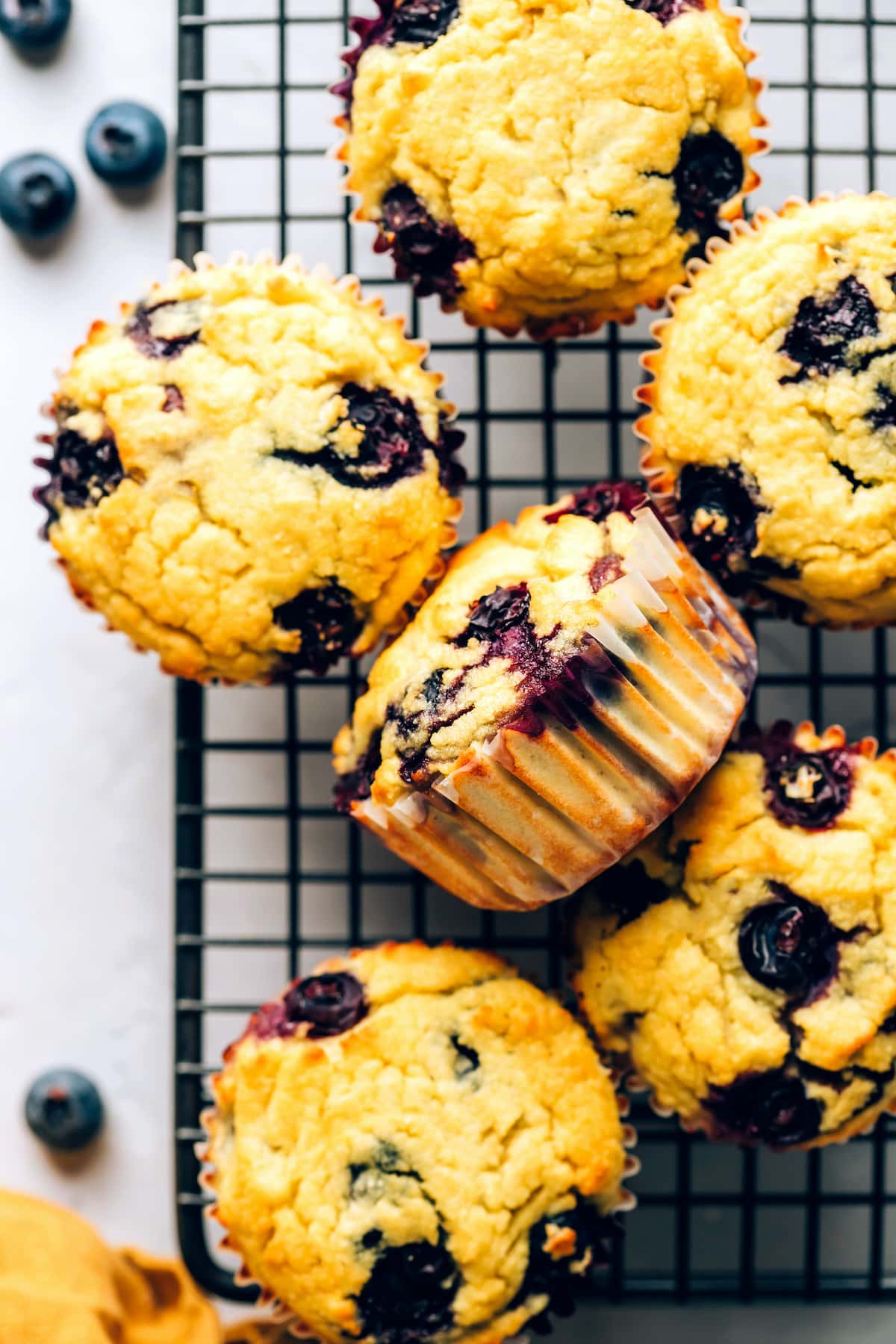 Coconut Flour Muffins Eating Bird Food