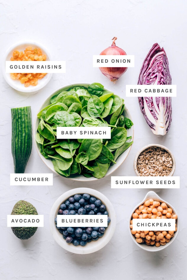 Ingredients measured out to make a blueberry spinach salad: golden raisins, red onion, red cabbage, baby spinach, cucumber, sunflower seeds, avocado, blueberries and chickpeas.