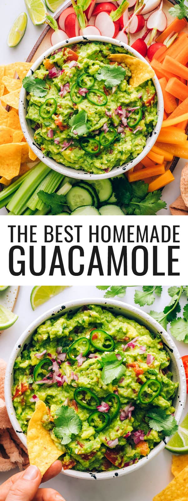 Easy Guacamole Eating Bird Food