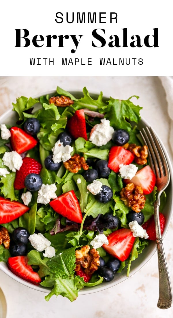 Summer Berry Salad Eating Bird Food