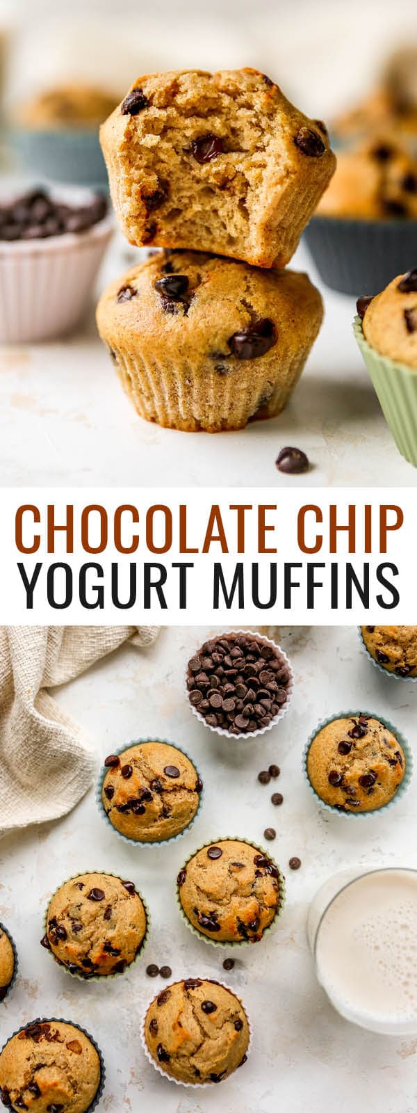 Chocolate Chip Yogurt Muffins Eating Bird Food