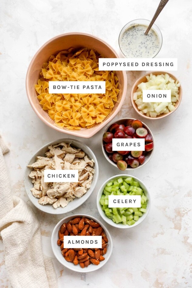 Ingredients measured out to make Poppyseed Chicken Pasta Salad: poppyseed dressing, bow-tie pasta, onion, grapes, chicken, celery and almonds.