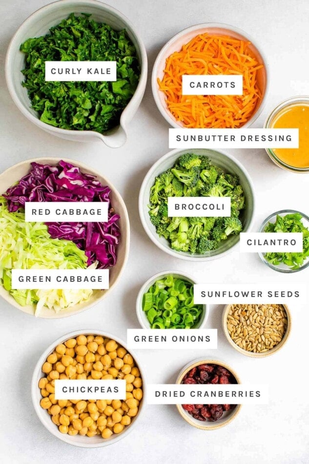 Ingredients measured out to make sunflower crunch salad: kale, carrots, SunButter dressing, broccoli, red cabbage, cilantro, green cabbage, sunflower seeds, green onions, chickpeas and dried cranberries.