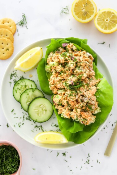 Overhead photo of salmon salad served over bib lettuce on a plate.