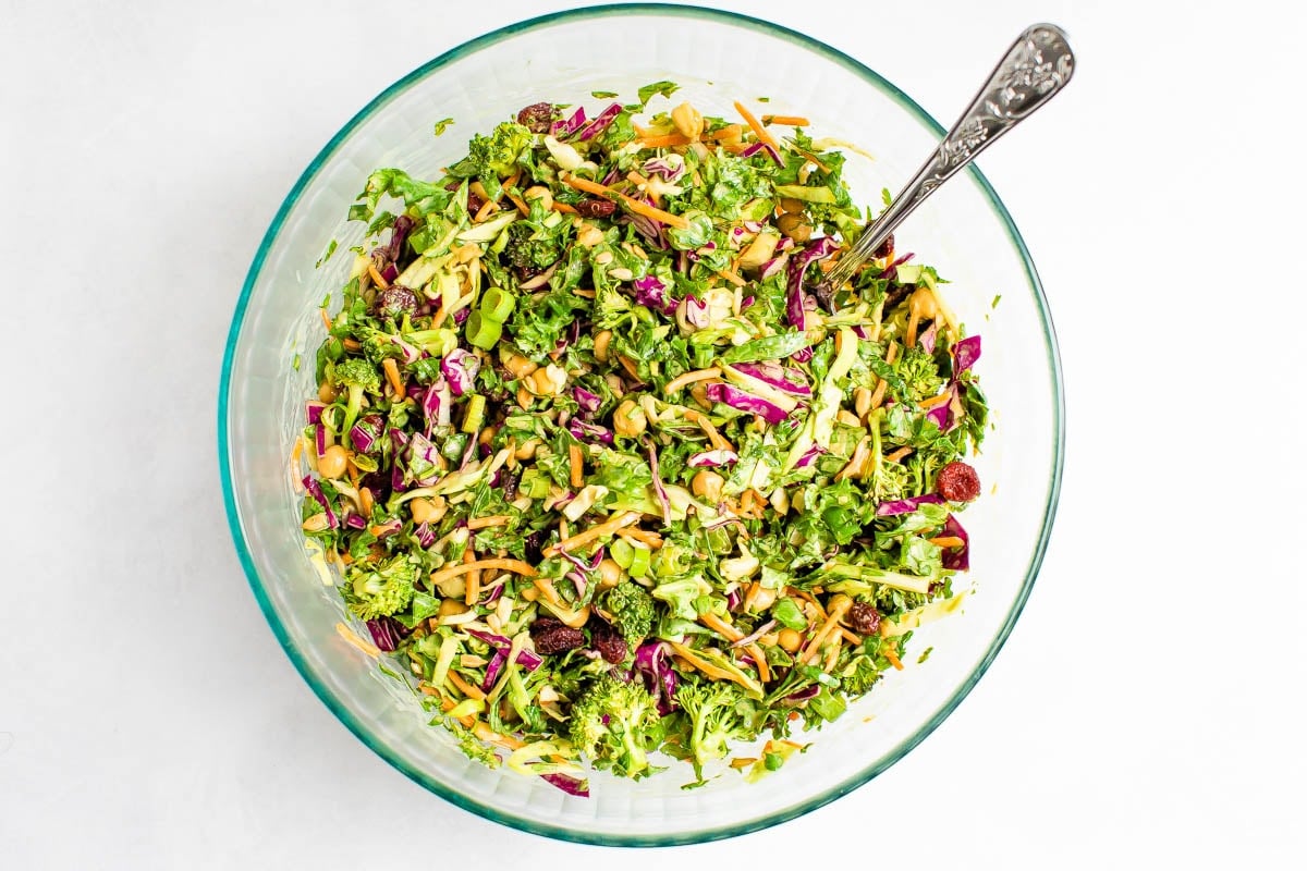 Sunflower Crunch Salad Eating Bird Food