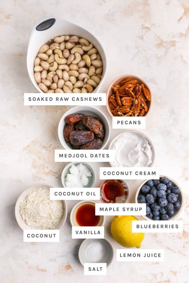 Ingredients measured out to make Vegan Blueberry Cheesecake Bars: soaked raw cashews, pecans, medjool dates, coconut cream, coconut oil, maple syrup, blueberries, coconut, vanilla, lemon juice and salt.