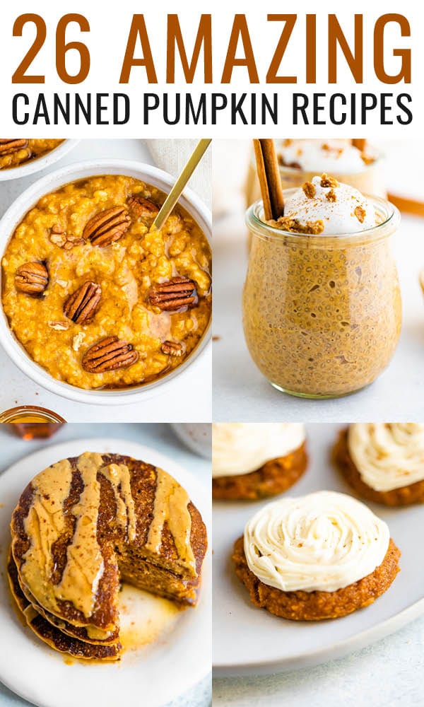 26 Amazing Canned Pumpkin Recipes Eating Bird Food