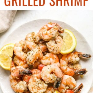 Grilled Shrimp - Eating Bird Food