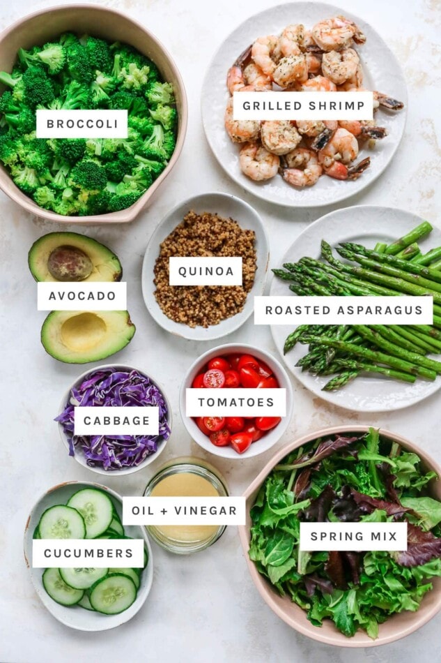 Ingredients measured out to make a Grilled Shrimp Salad: broccoli, grilled shrimp, quinoa, avocado, roasted asparagus, tomatoes, cabbage, oil, vinegar, cucumbers and spring mix.