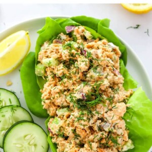 Salmon salad plated over a bed of lettuce and cucumber and lemon slices on the side.