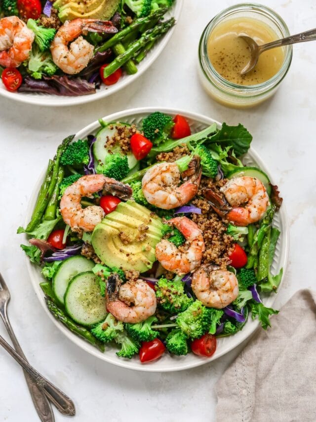 Grilled Shrimp Salad Eating Bird Food