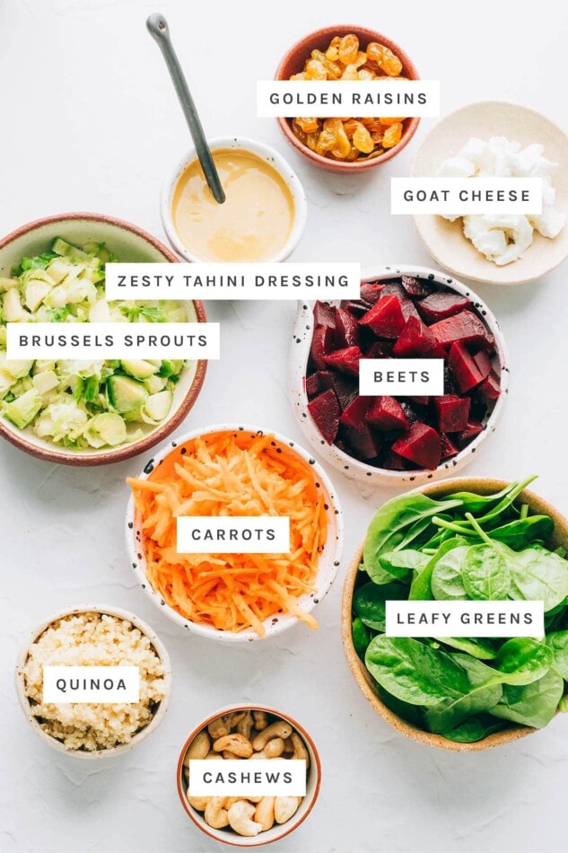 Ingredients measured out to make a beet power salad:golden raisins, goat cheese, zesty tahini dressing, brussels sprouts, beets, carrots, leafy greens, quinoa and cashews.