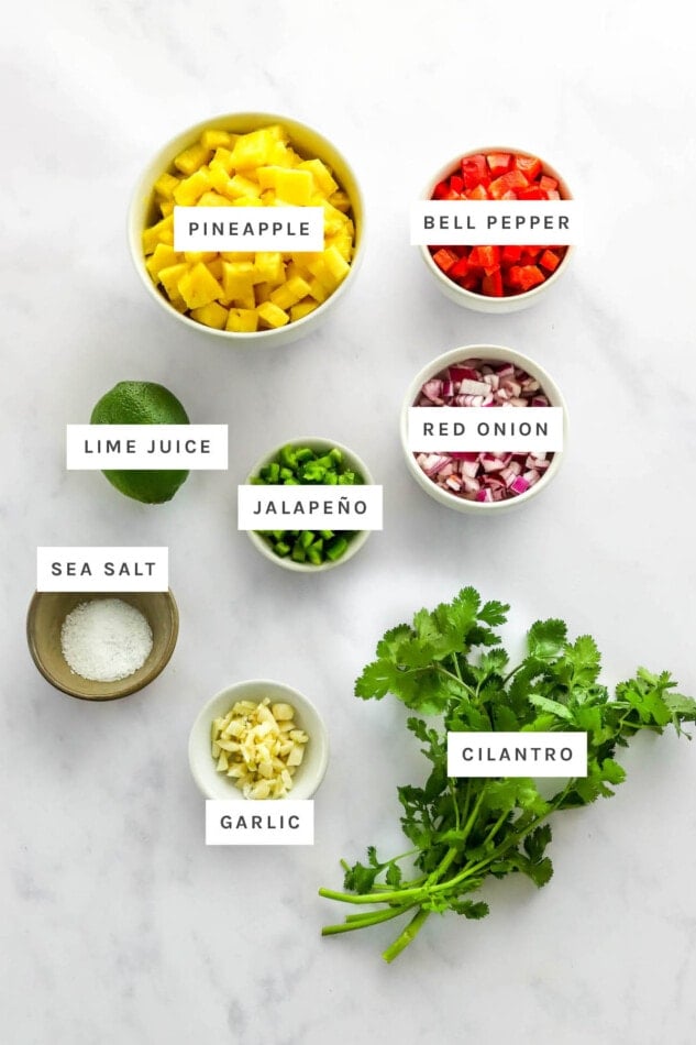 Ingredients measured out to make pineapple salsa: pineapple, bell pepper, lime juice, jalapeño, red onion, sea salt, garlic and cilantro