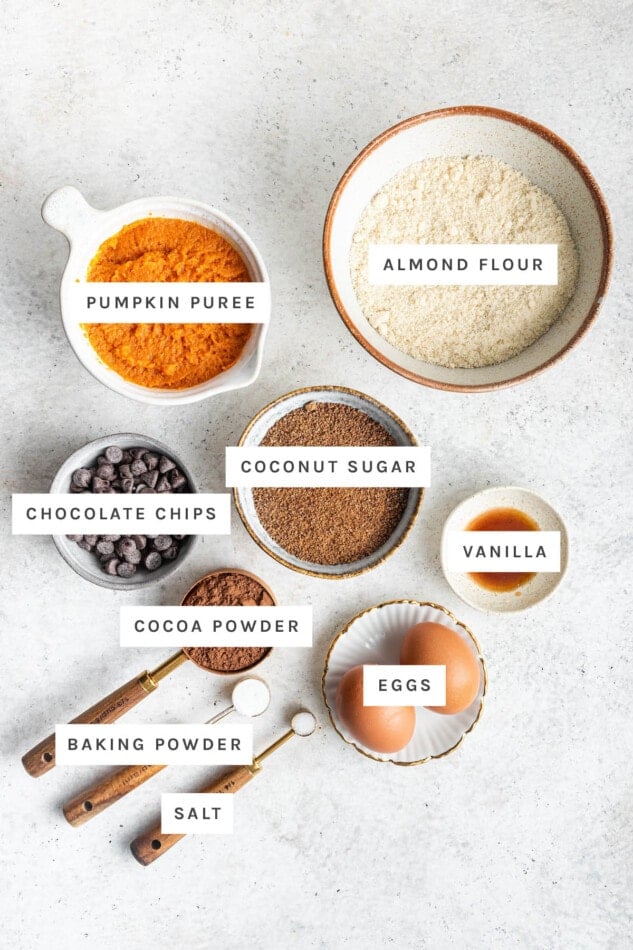 Ingredients measured out to make pumpkin brownies: pumpkin puree, almond flour, chocolate chips, coconut sugar, vanilla, cocoa powder, baking powder, salt and eggs.