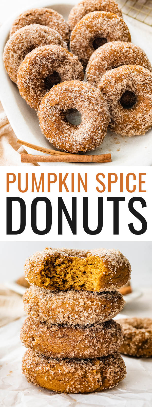 Pumpkin Spice Donuts Eating Bird Food