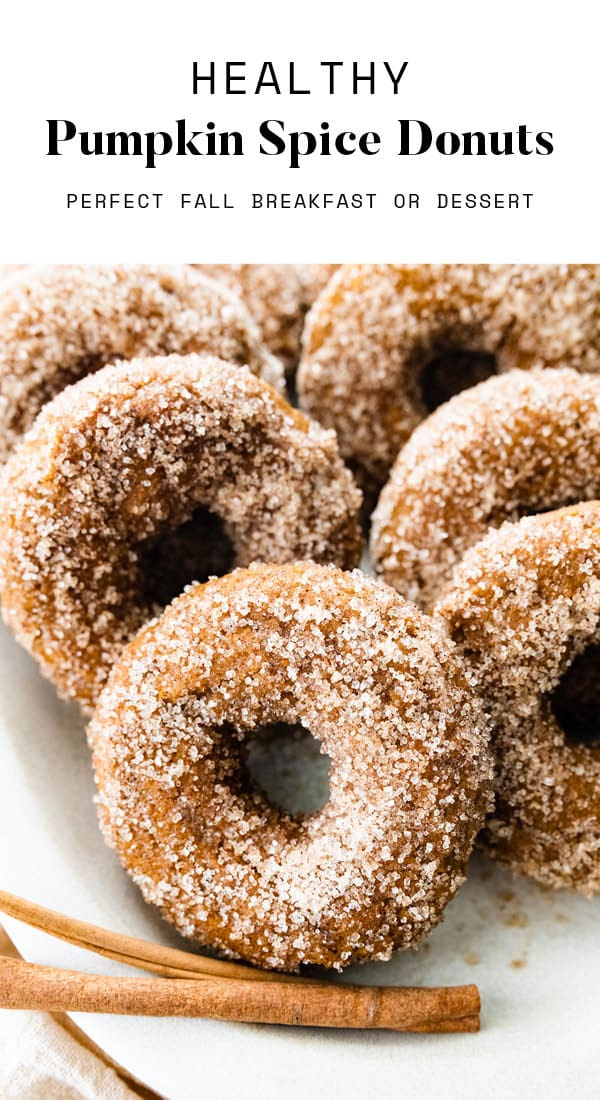 Pumpkin Spice Donuts Eating Bird Food