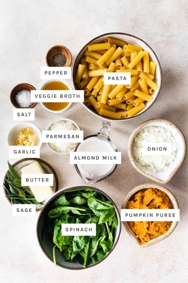 Ingredients measured out to make pumpkin pasta: pepper, pasta, veggie broth, salt, parmesan, garlic, almond milk, onion, butter, sage, spinach and pumpkin puree.