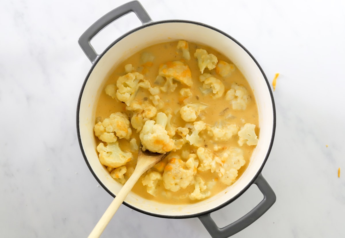 Baked Cauliflower Mac and Cheese Eating Bird Food