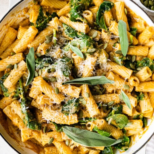 Creamy Pumpkin Pasta Eating Bird Food