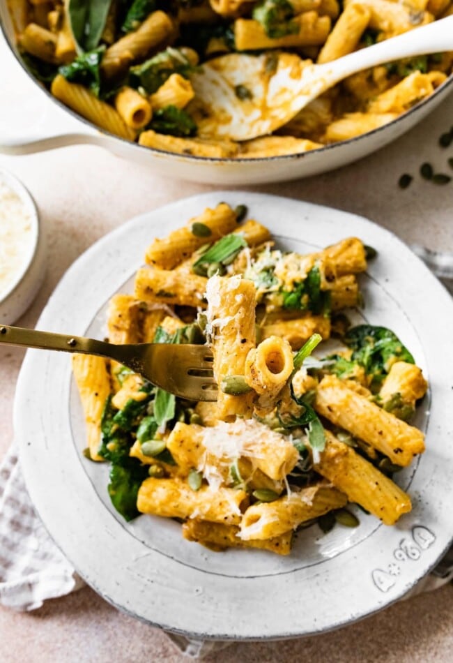 A plate with a serving of cream pumpkin pasta, a fork has two noodles on it.