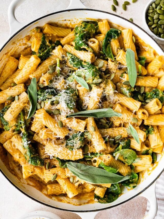 Creamy Pumpkin Pasta Eating Bird Food
