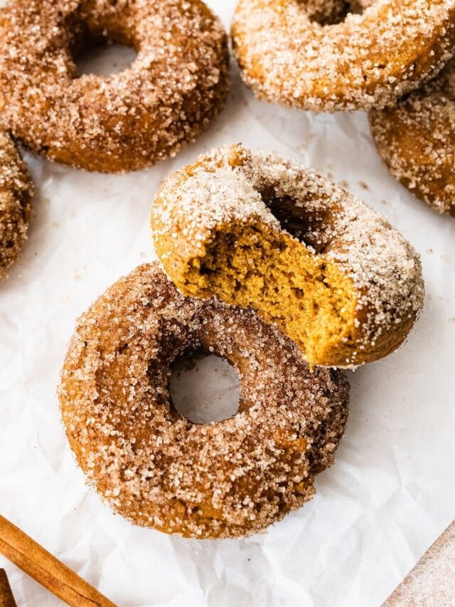Pumpkin Spice Donuts Eating Bird Food