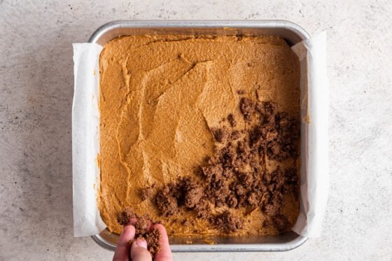 Sprinkling topping on to cake batter in square baking pan lined with parchment paper.