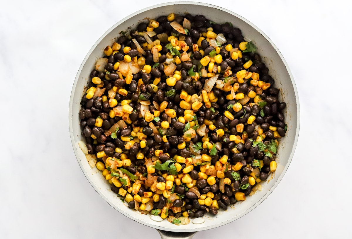 Vegan Enchiladas Eating Bird Food