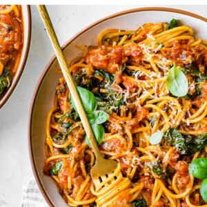 A bowl of spaghetti with a bite twirled onto a fork.