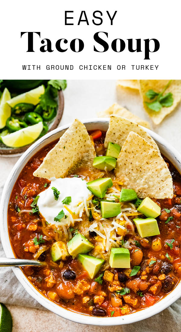 Taco Soup Consuming Fowl Meals The Daily Inserts