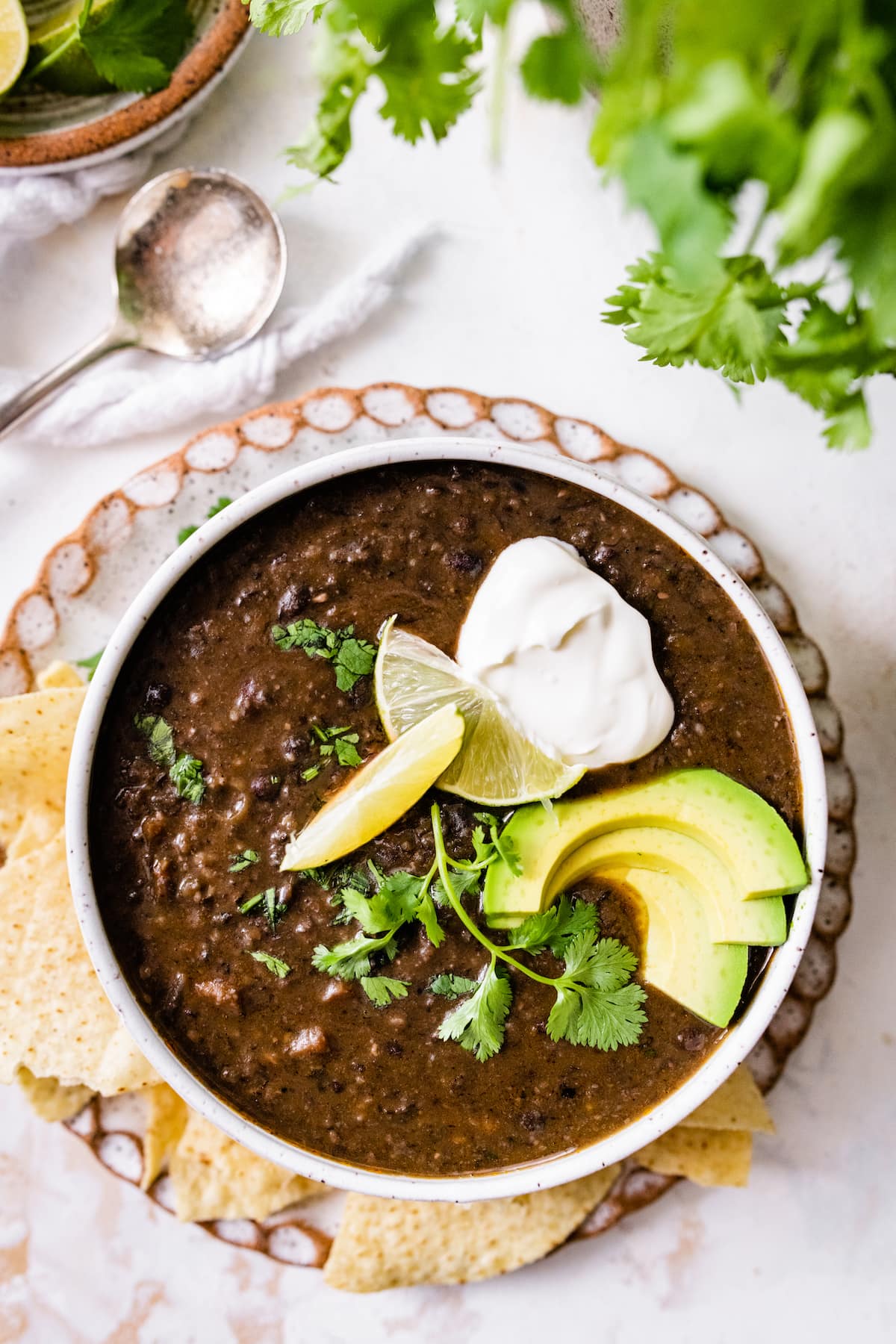 Black Bean Blender Soup Recipe 