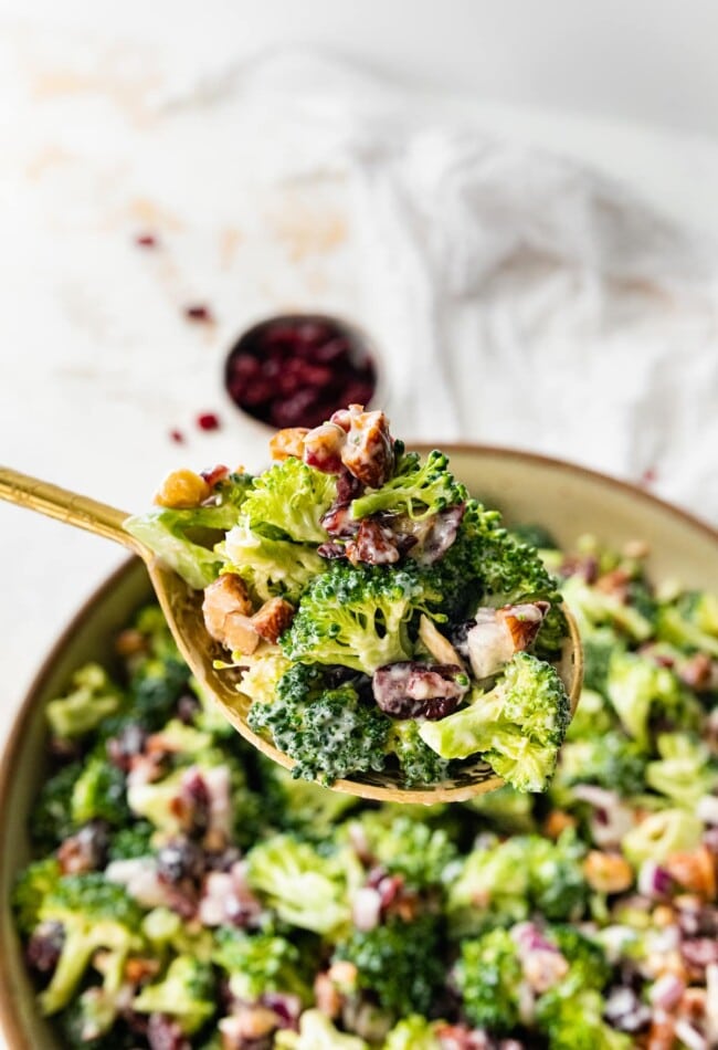 A spoonful of broccoli cranberry salad over a bowl.