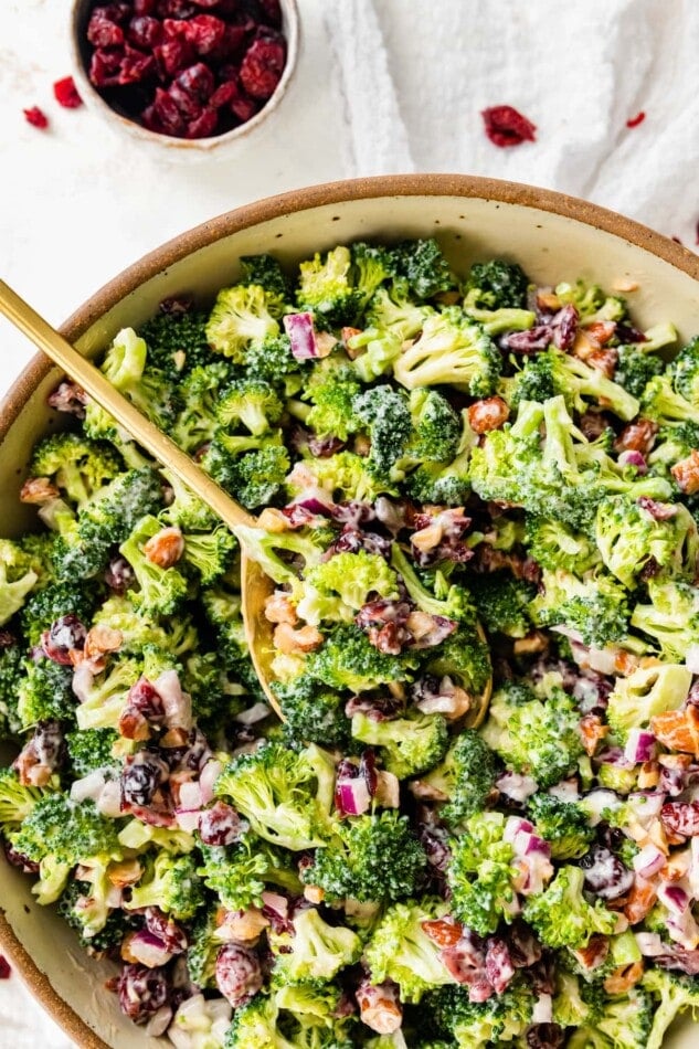 A spoonful of broccoli cranberry salad rests in a bowl.