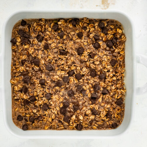 Cauliflower Brownie Baked Oatmeal Eating Bird Food