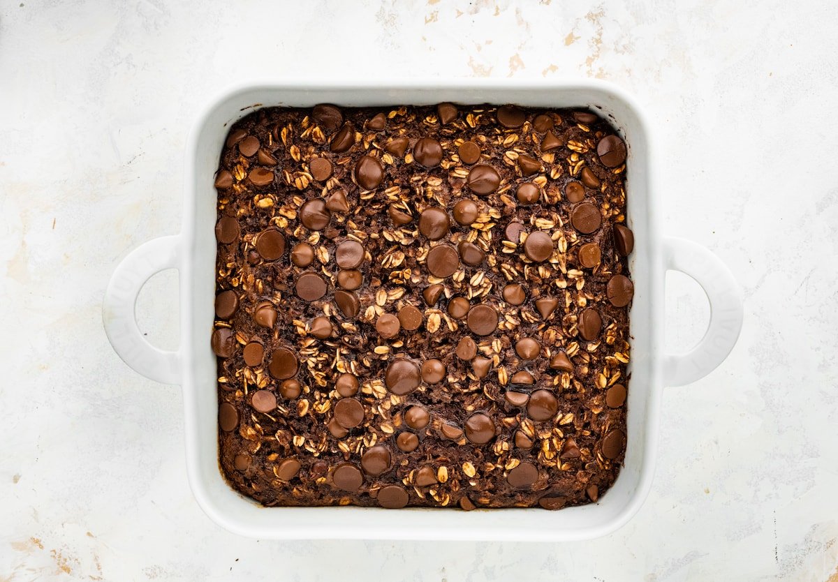 Cauliflower Brownie Baked Oatmeal Eating Bird Food