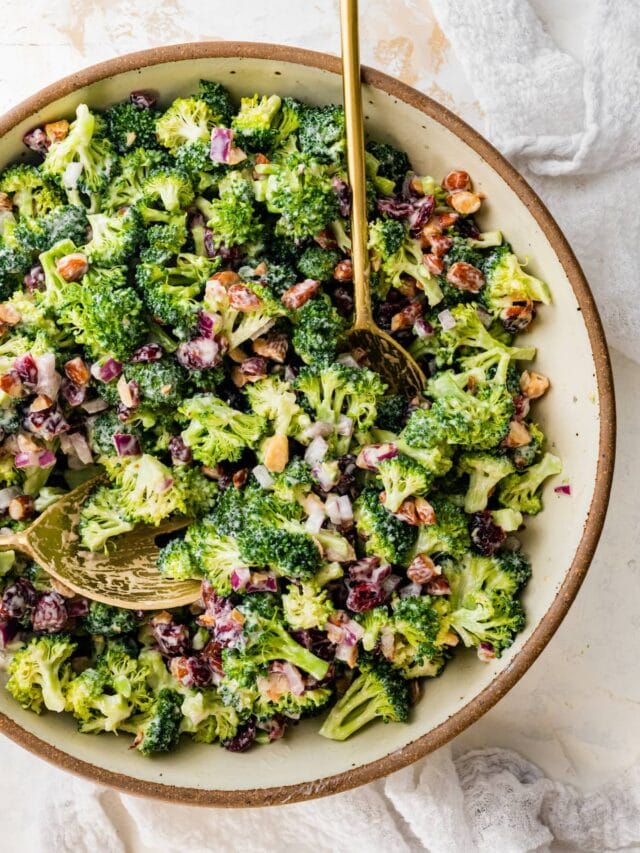 Broccoli Cranberry Salad Eating Bird Food