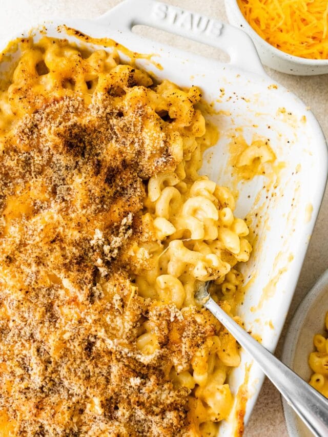 Healthy Baked Mac and Cheese Eating Bird Food