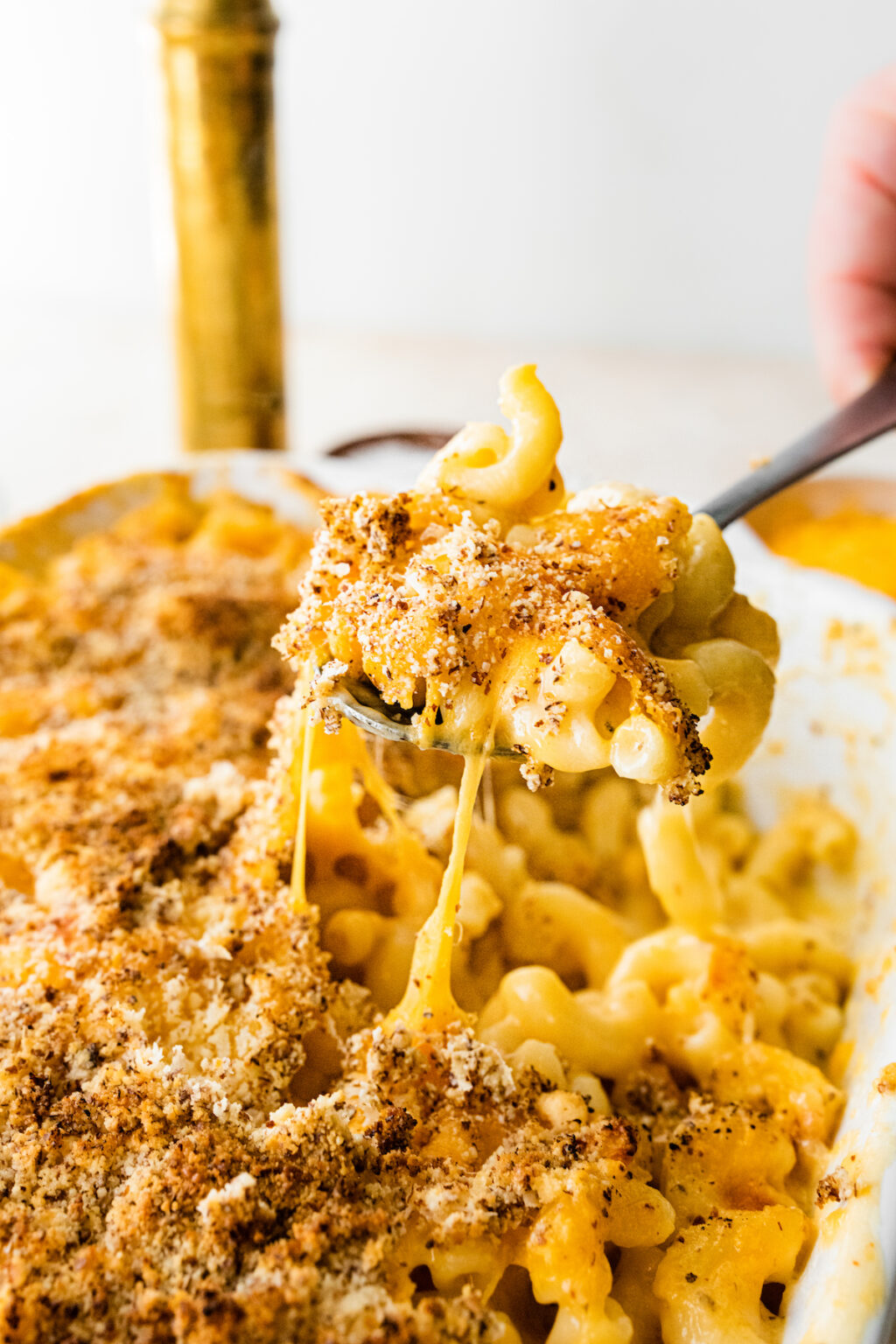 Healthy Baked Mac and Cheese Eating Bird Food