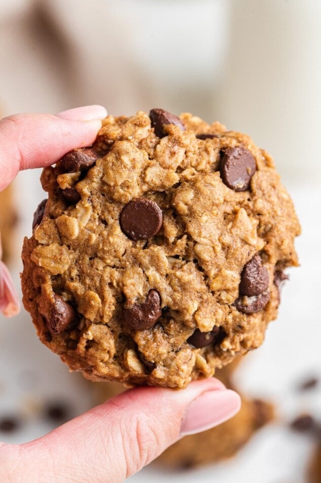 A hand holding up a healthy chocolate chip oatmeal cookie.
