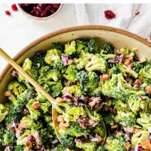 A spoonful of broccoli cranberry salad rests in a bowl.