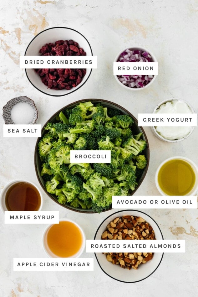Ingredients measured out to make Broccoli Cranberry Salad: dried cranberries, red onion, sea salt, broccoli, Greek yogurt, maple syrup, avocado/olive oil, apple cider vinegar and roasted salted almonds.